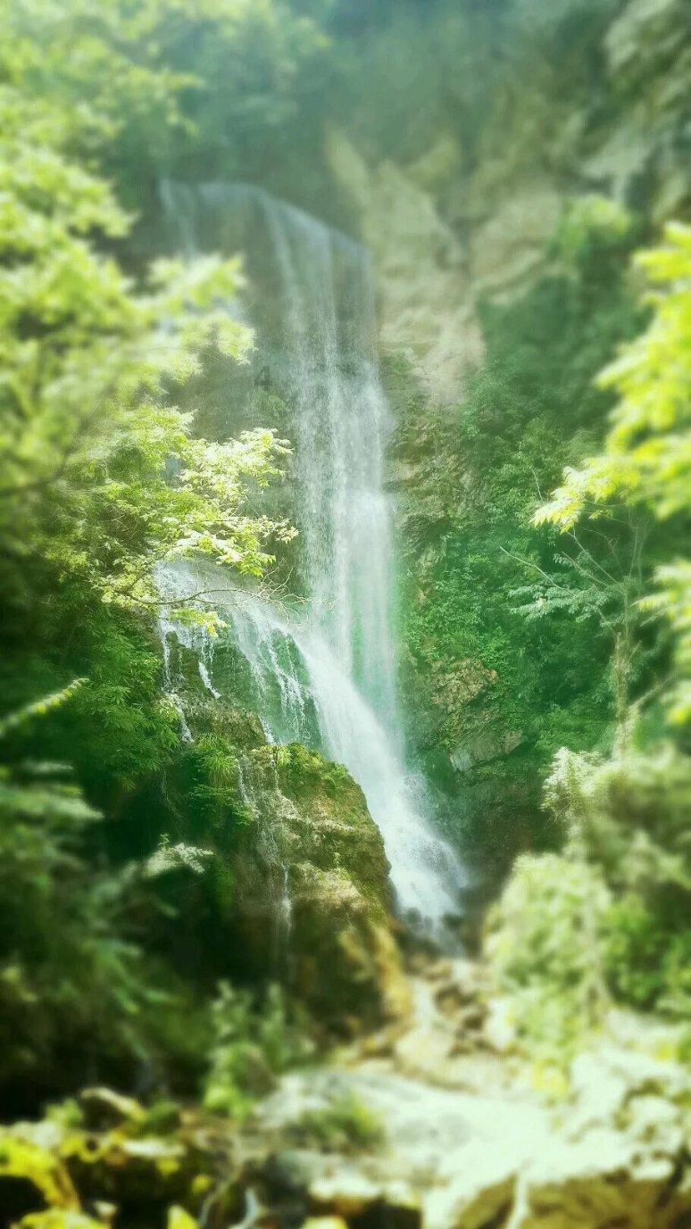 逃出林中村